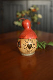 Indoor Decorative Birdhouse Gourd