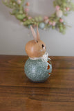 Willow Green Bunny - Miniature Gourd