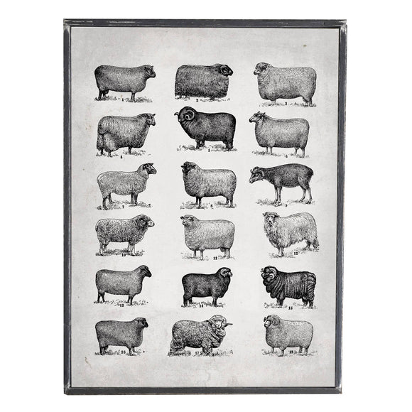 Vintage Sheep Chart, Wall Decor