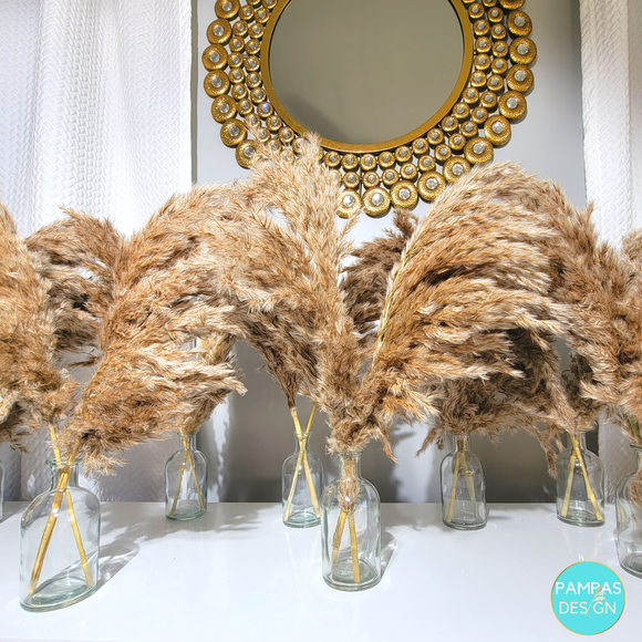 Pampas Grass Centerpieces including Vase Set of 6