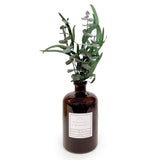 Eucalyptus & Botanicals Diffuser: Cypress & Fig Fragrance